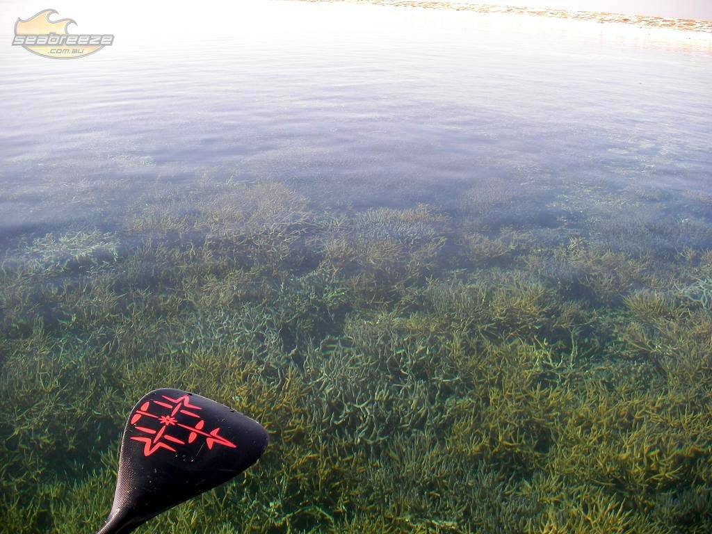 A SUP Odyssey