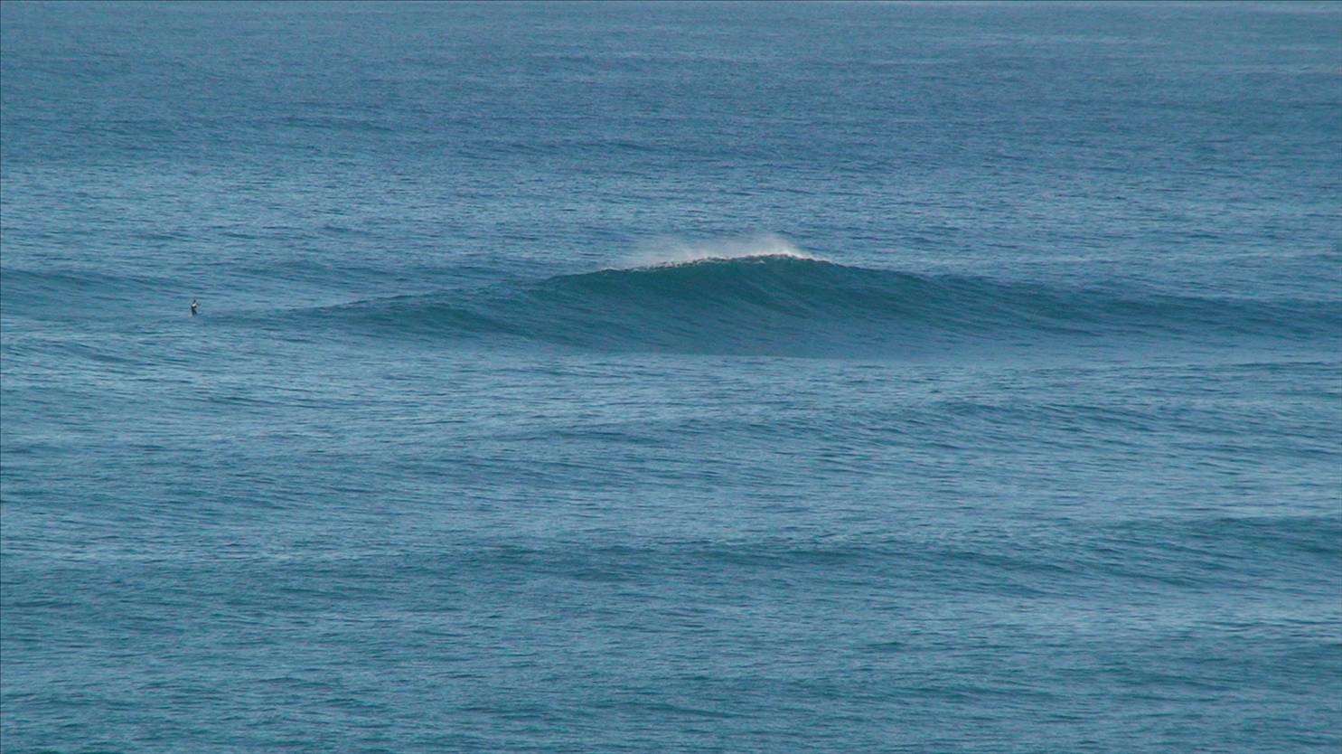 DSC00817