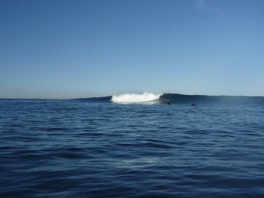 flinders