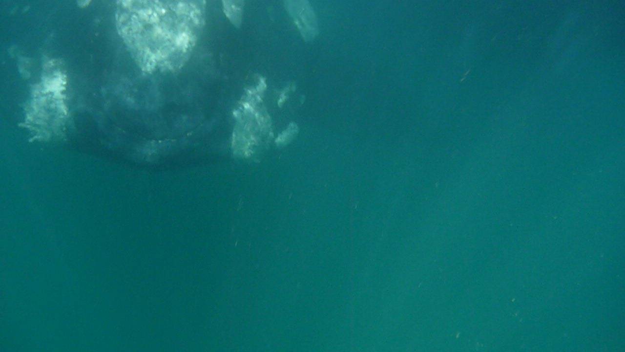 P1000279(3)