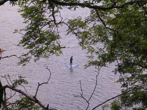 gwynant
