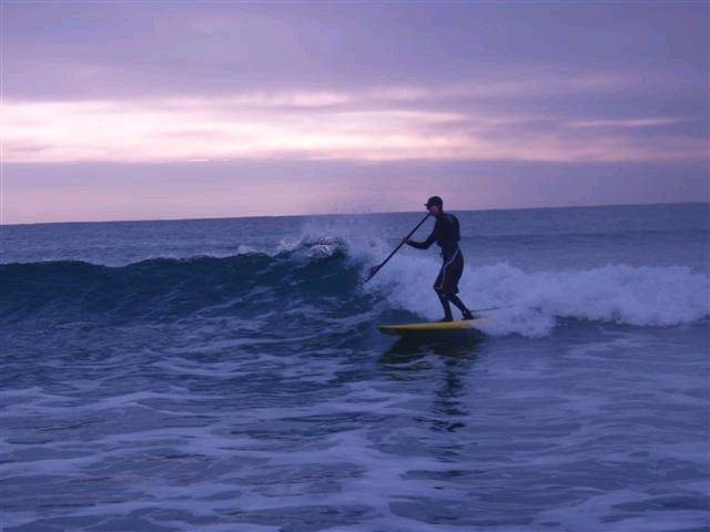 PRK 004 (Small)