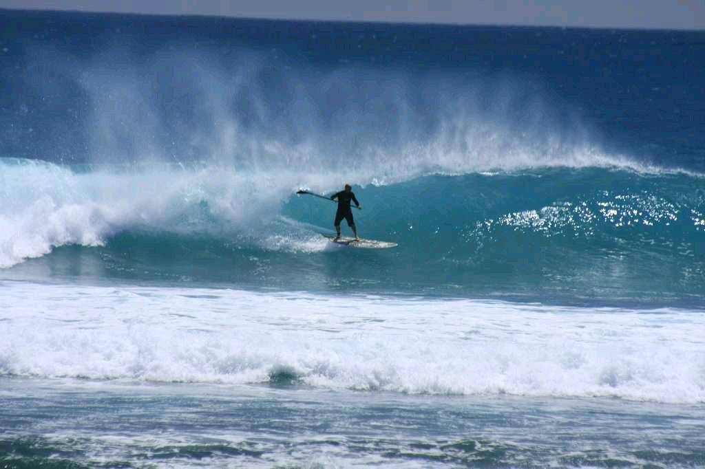 Stand Up Paddle (SUP) in WA