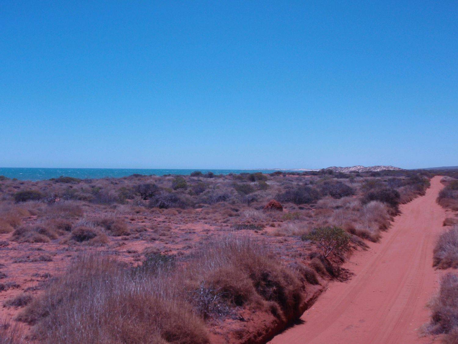 Day 1-Middle of Nowhere