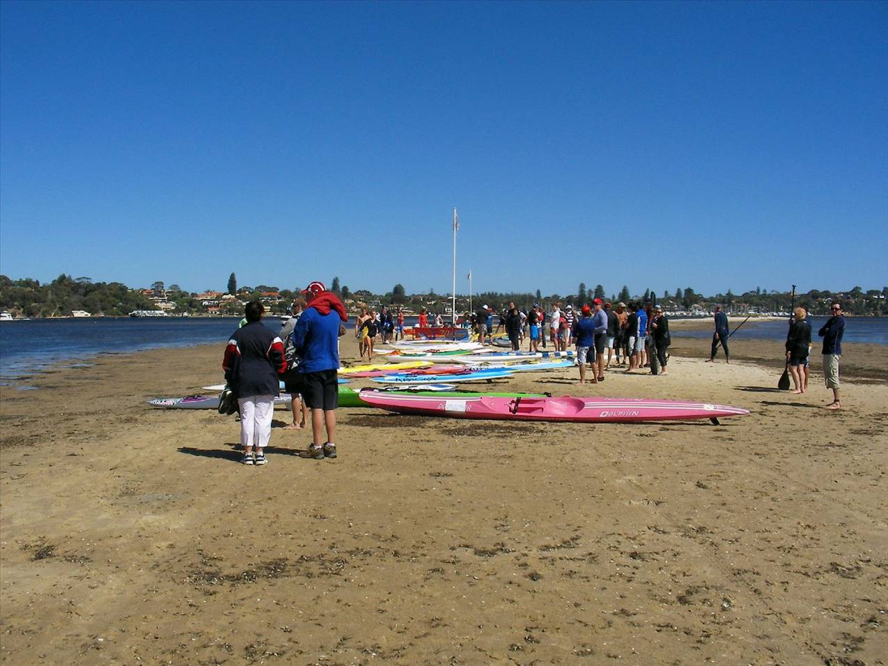 Classic Paddle