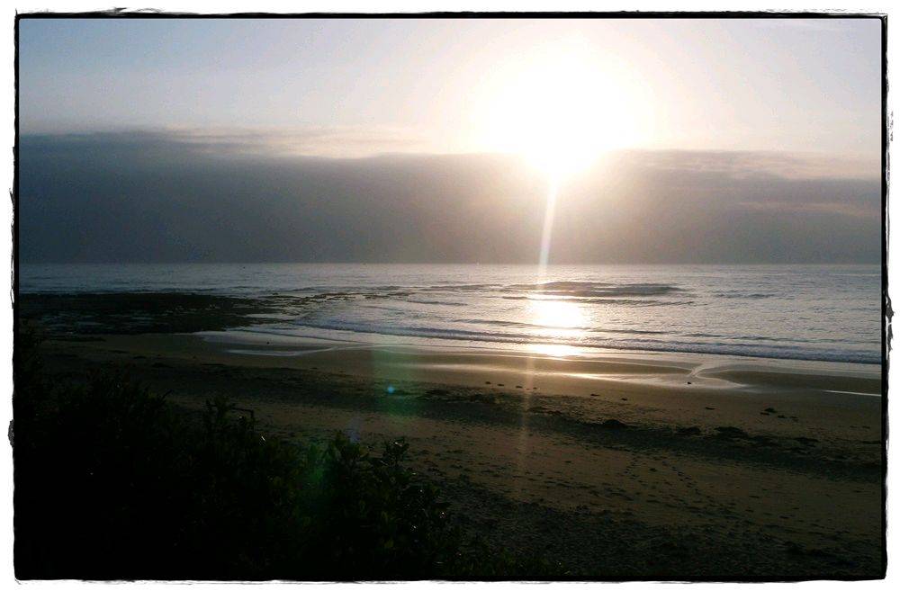 Sandon Lefts