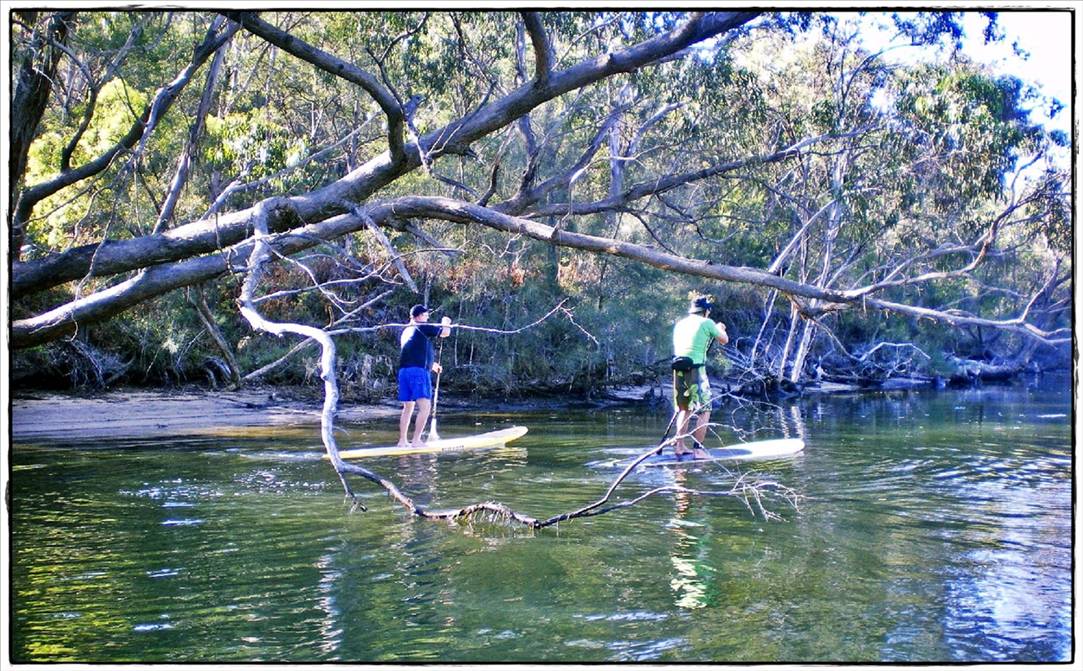 Woronora River 025