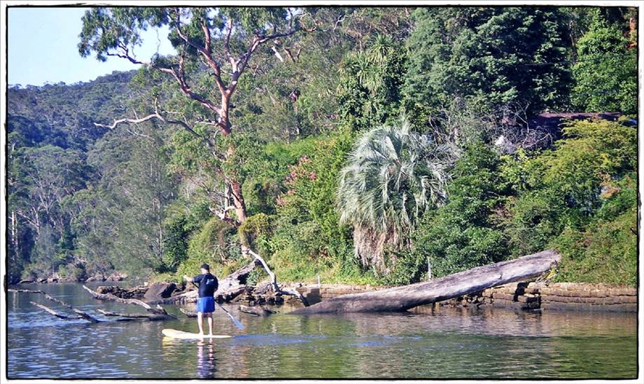 Woronora River 027