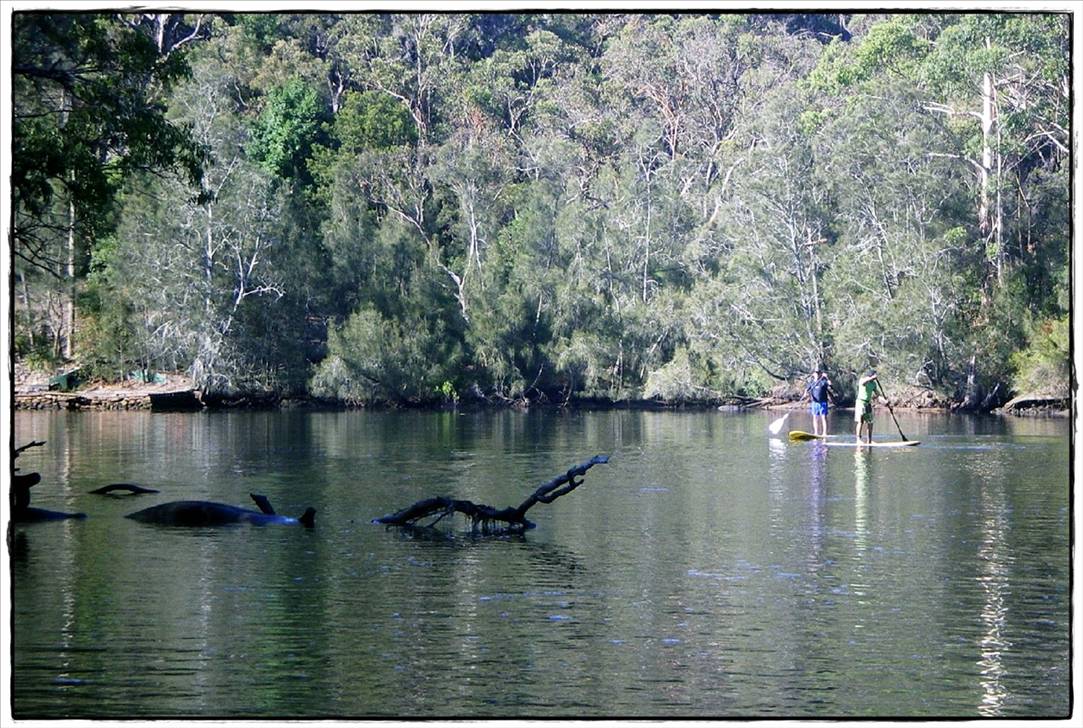 Woronora River 032