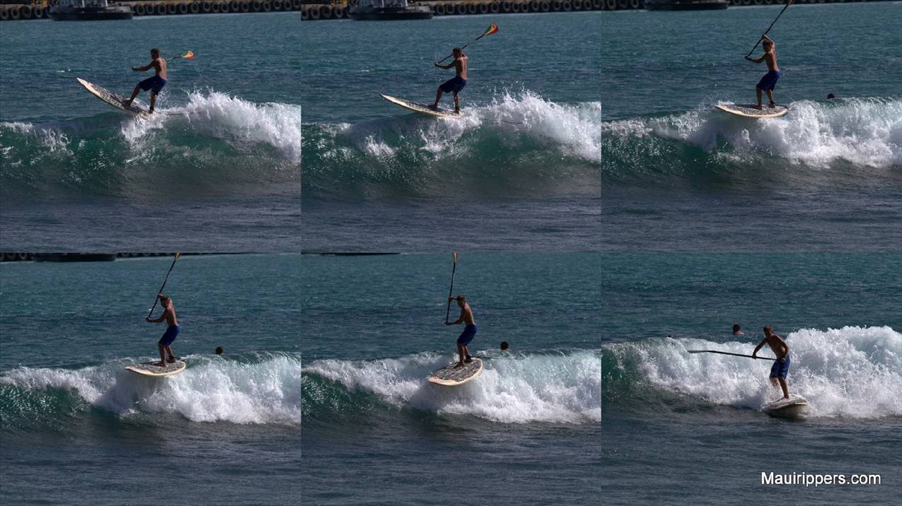2010-01-311