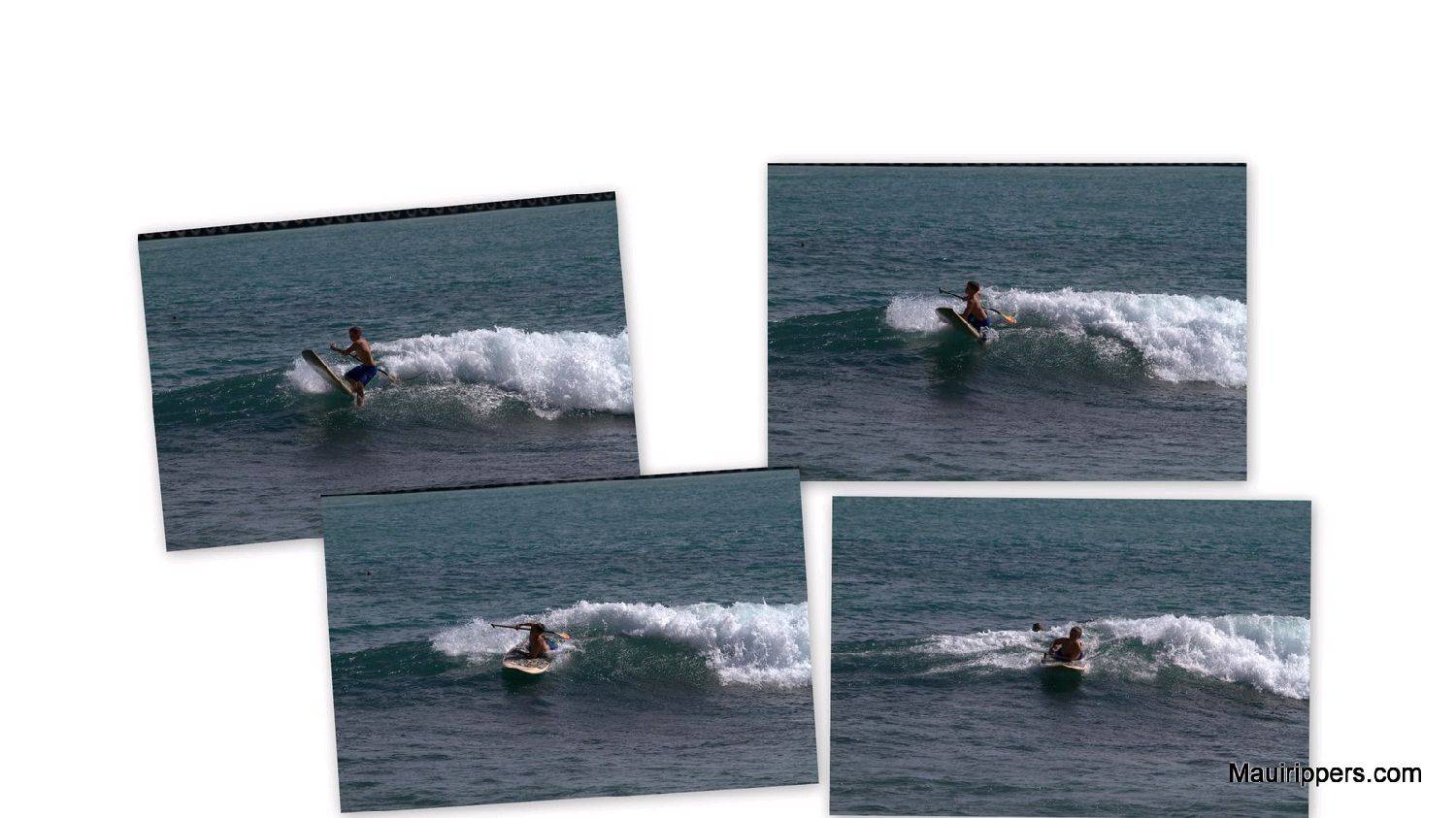 2010-01-314