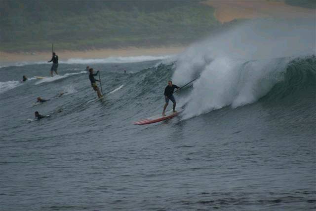 DSC01670 (Small)