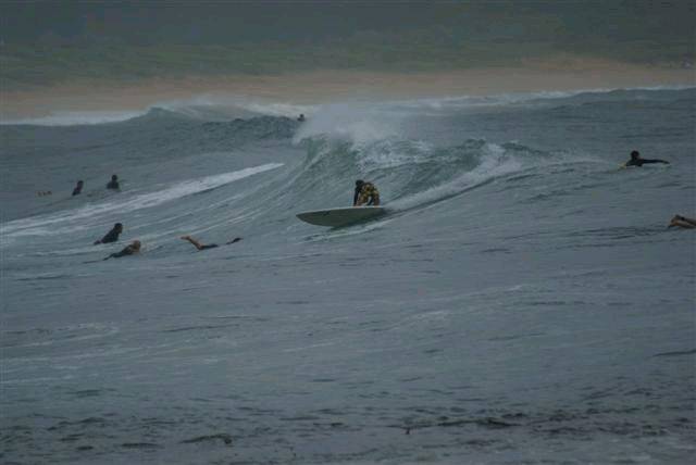 DSC01692 (Small)