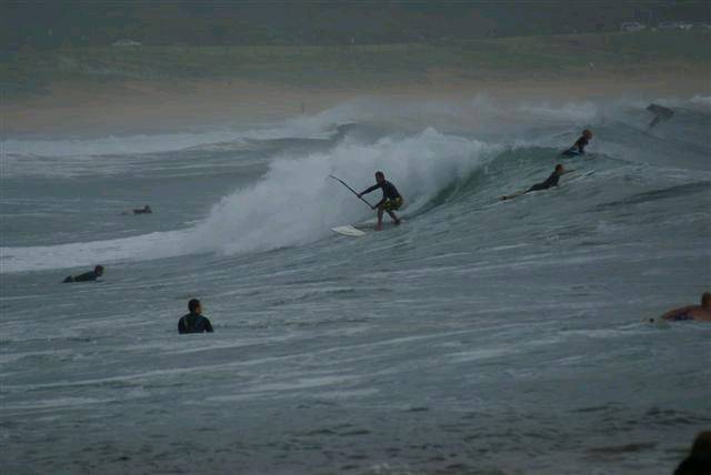 DSC01699 (Small) (2)