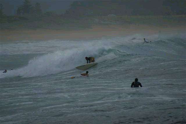 DSC01703 (Small)