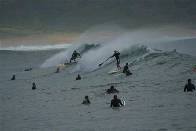 DSC01726 (Small)