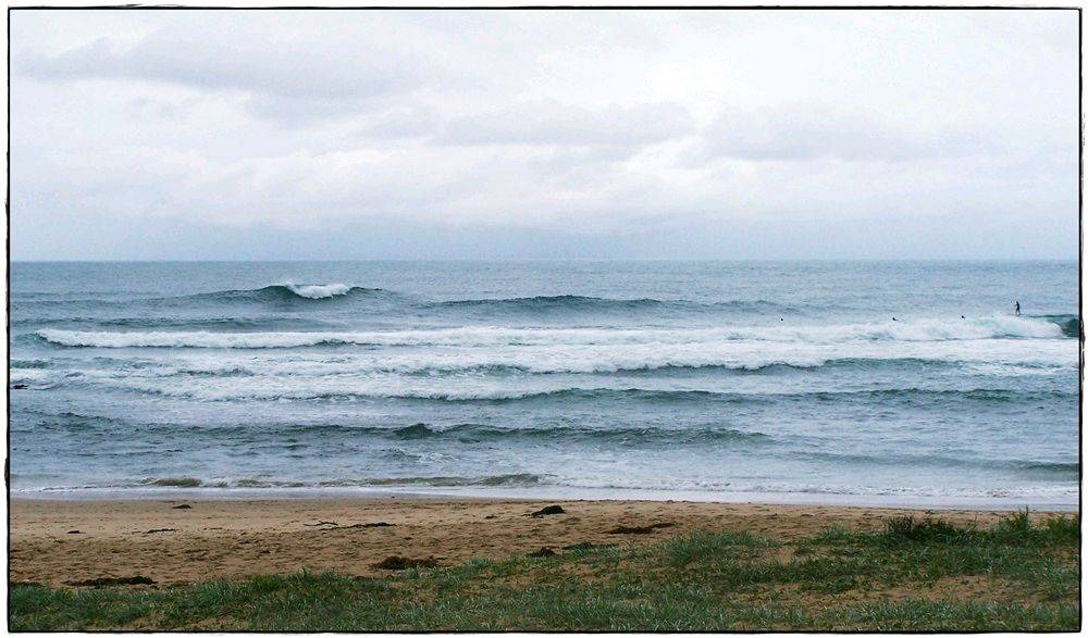 Paul Sharkies 006