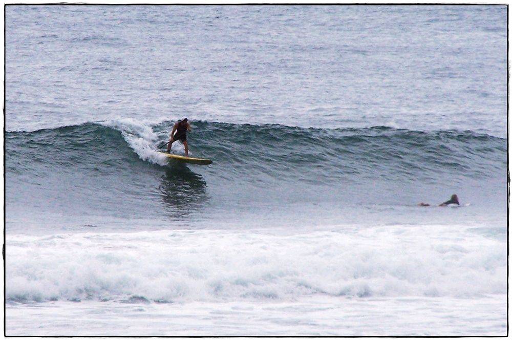 Paul Sharkies 009