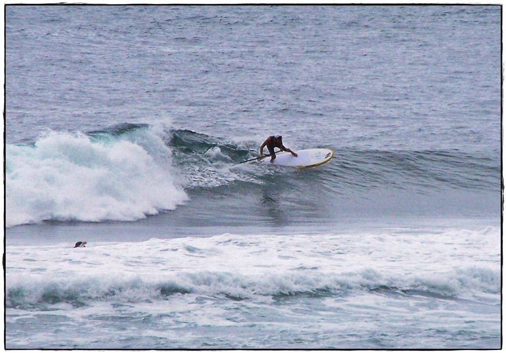 Paul Sharkies 010
