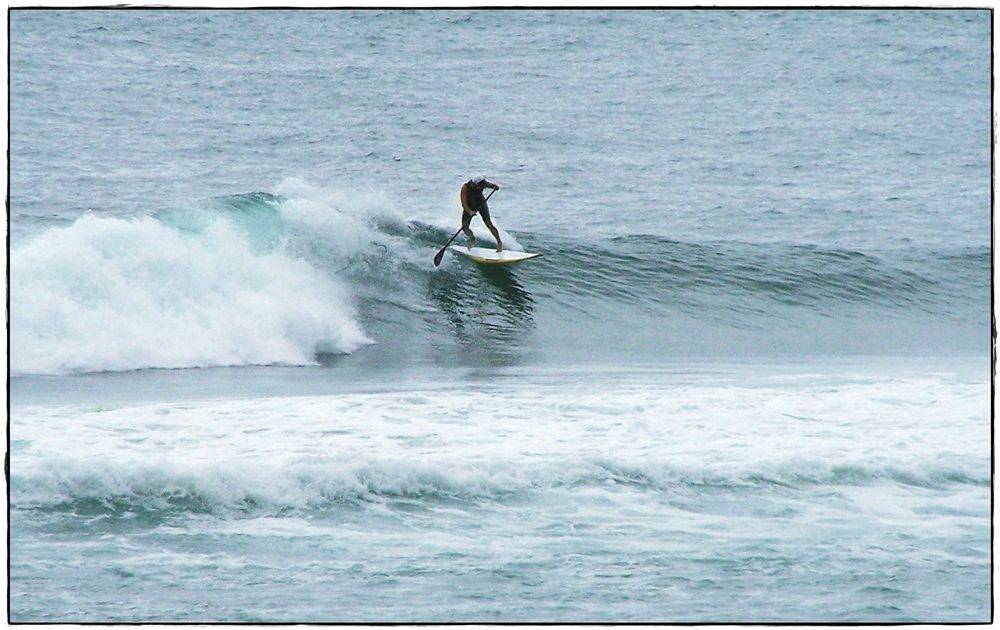 Paul Sharkies 011