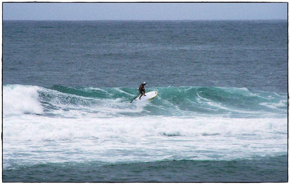 Paul Sharkies 018