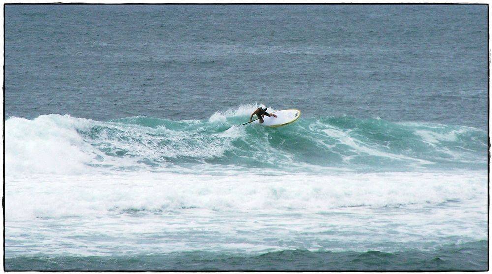 Paul Sharkies 019