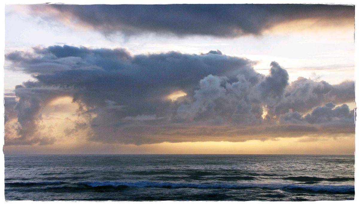 Tues Sharkies 002