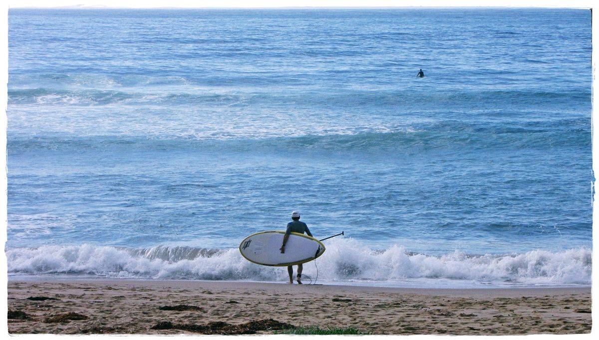 Tues Sharkies 029