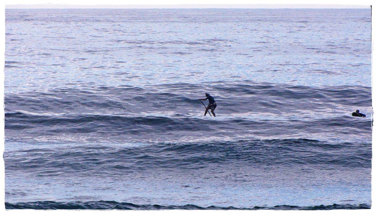 Tues Sharkies 057