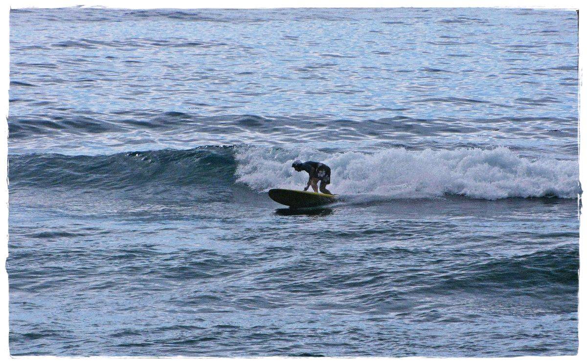 Tues Sharkies 068