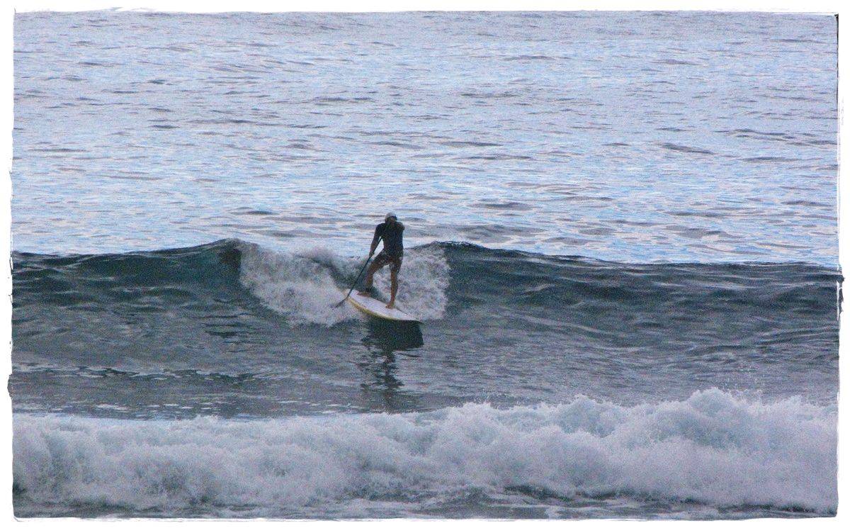 Tues Sharkies 074