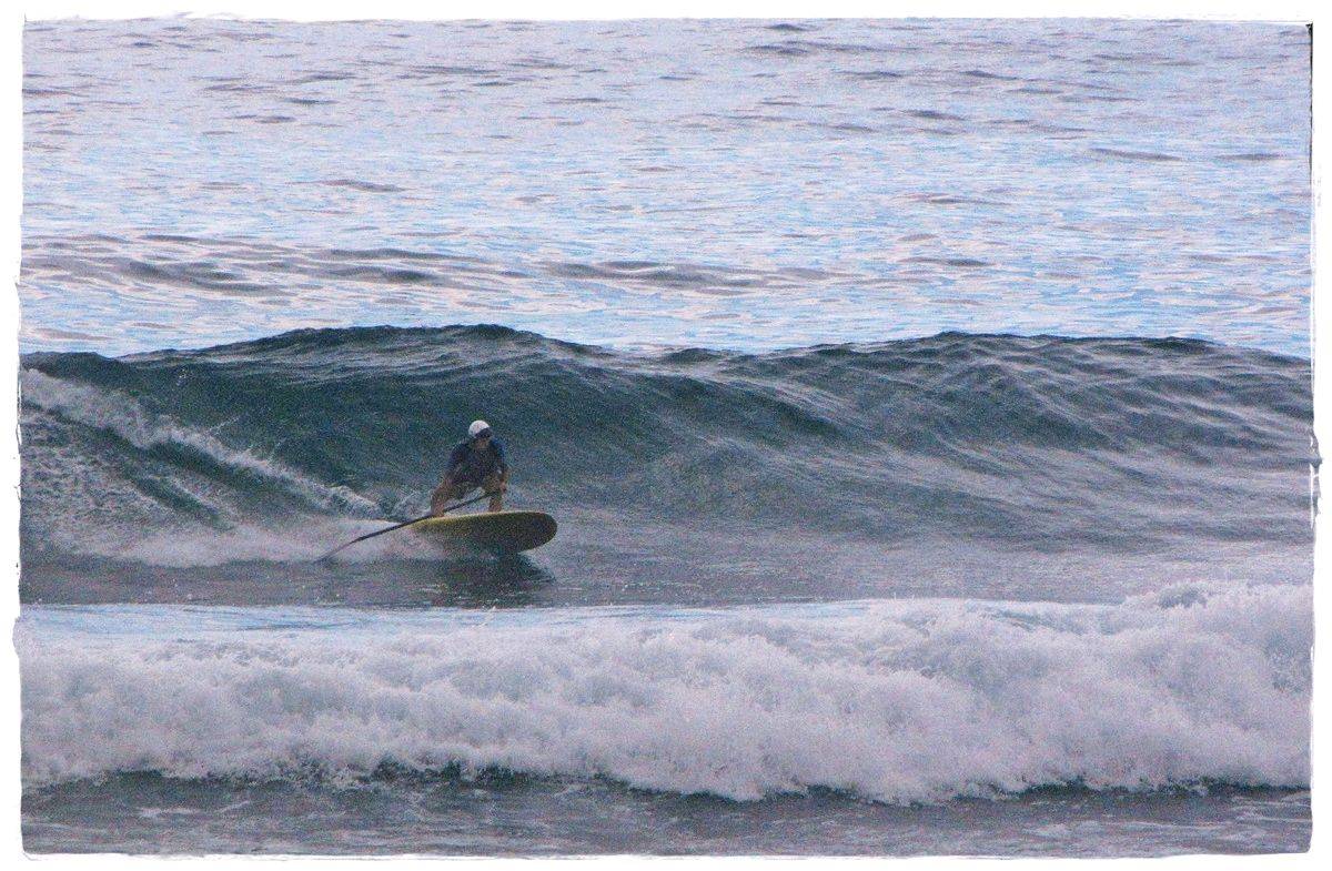 Tues Sharkies 077