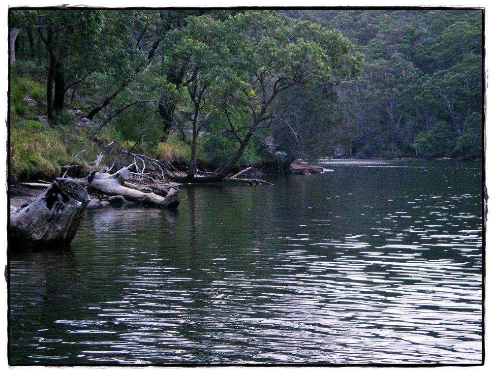Audley Paddle 012