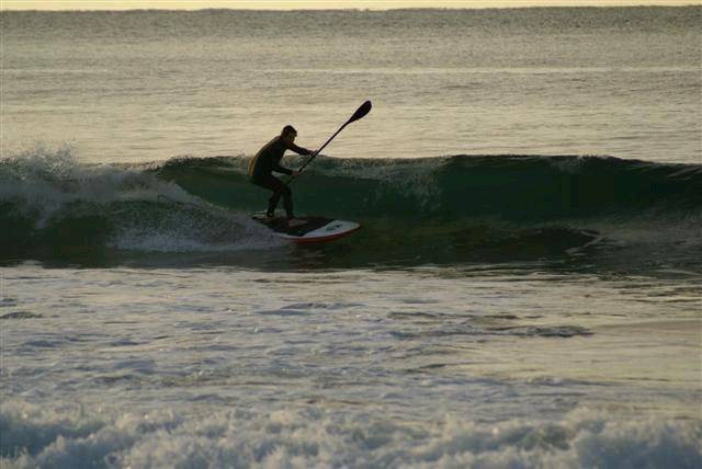 dc narra 2 (Small)