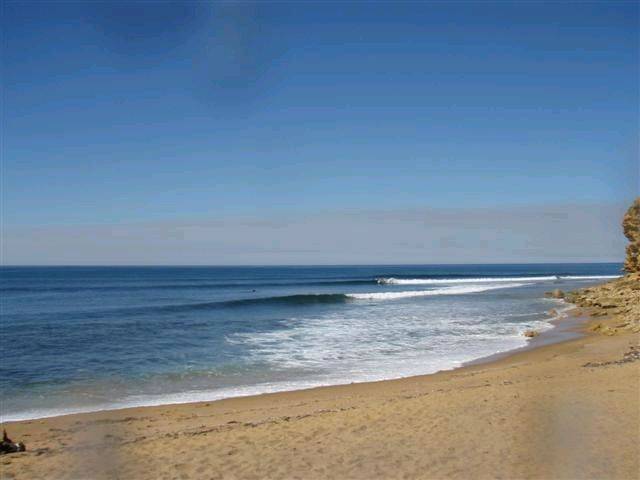 JARROD 032 (Small)
