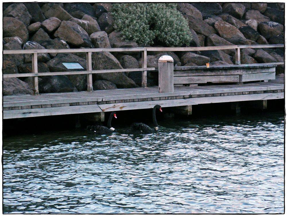 St Kilda SUP 001