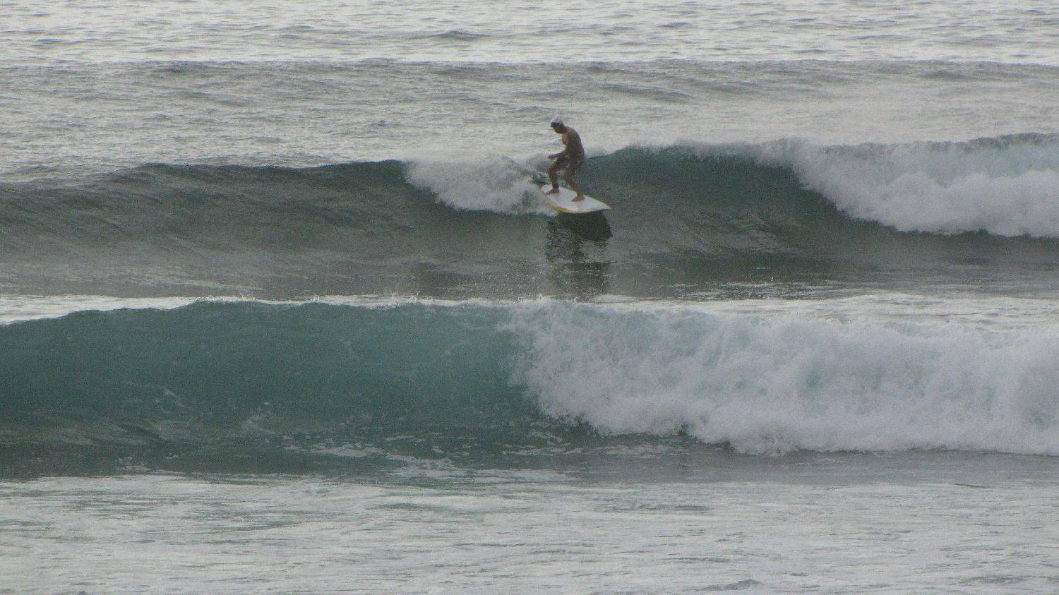 Sharkies 022