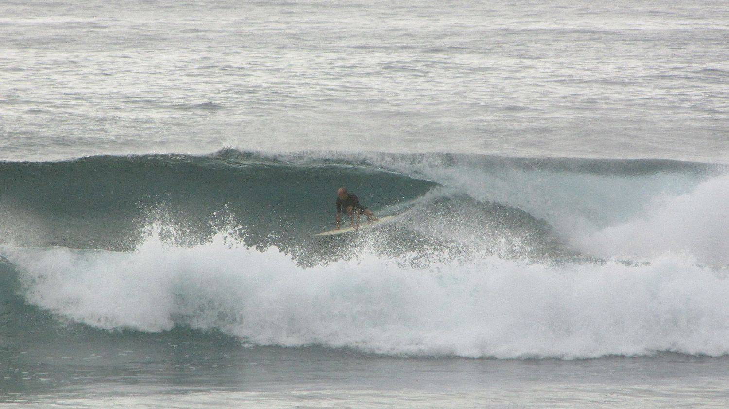 Sharkies 039