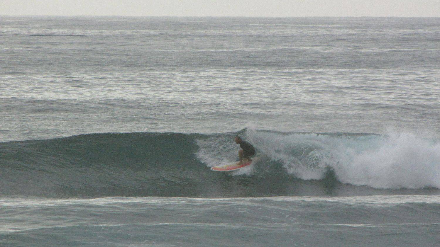 Sharkies 046