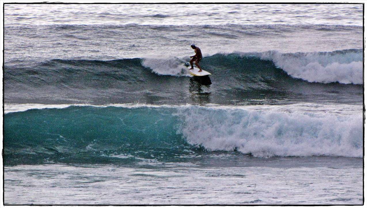 Sharkies 022