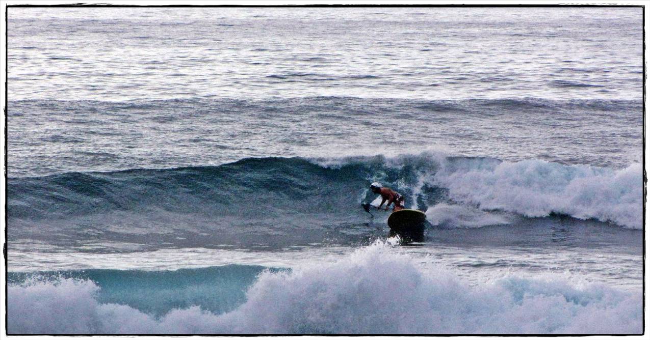Sharkies 024