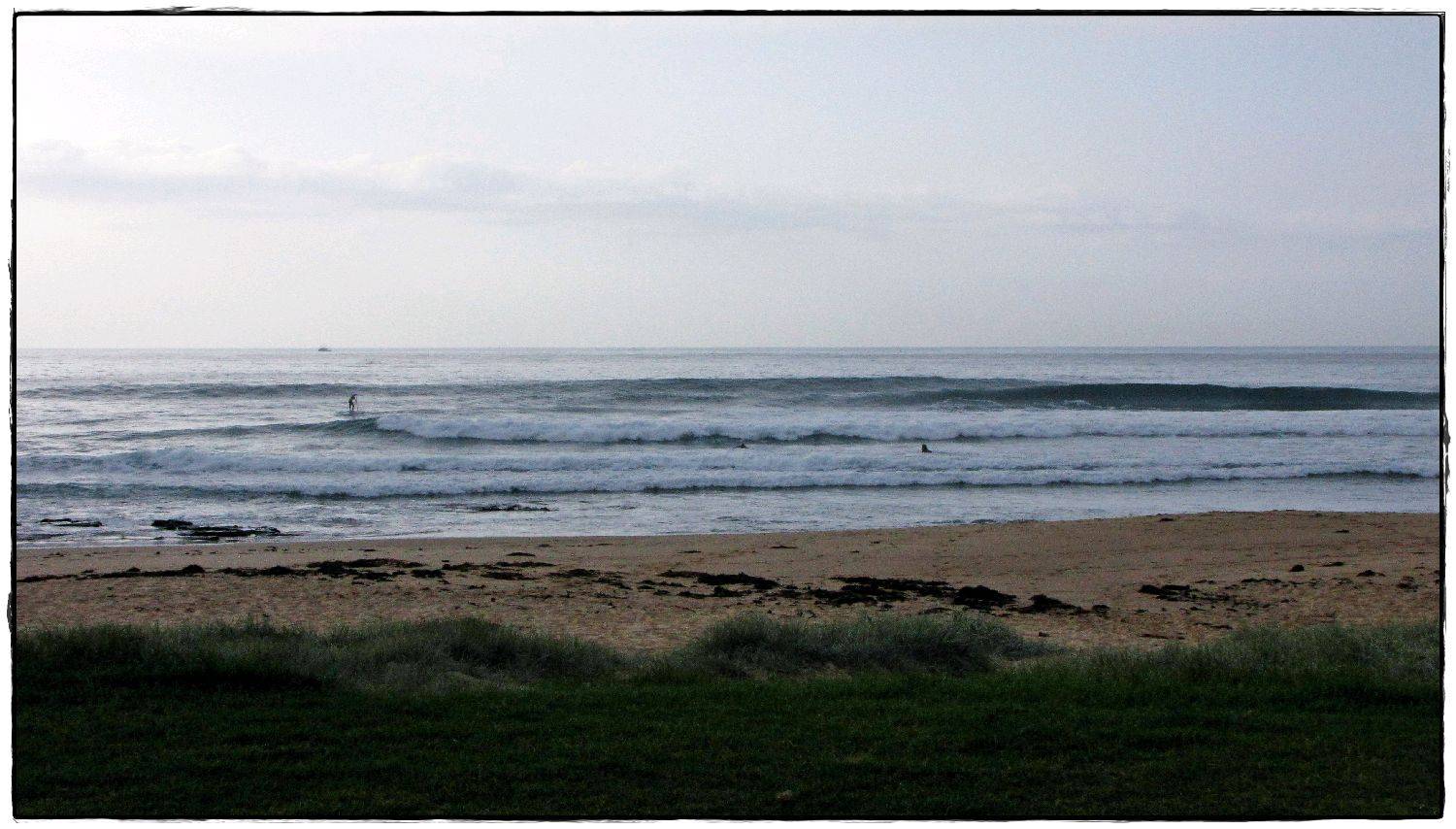 Sharkies 027