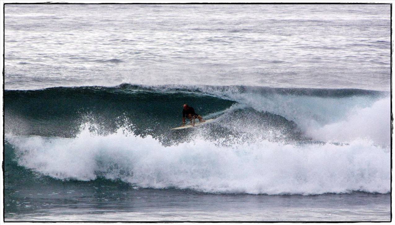 Sharkies 039