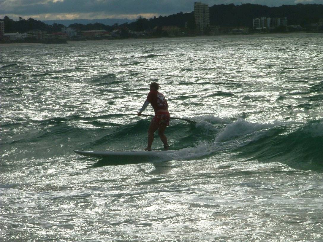 sup roar 141