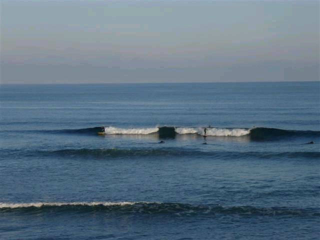 DANGER LEFT 006 (Small)