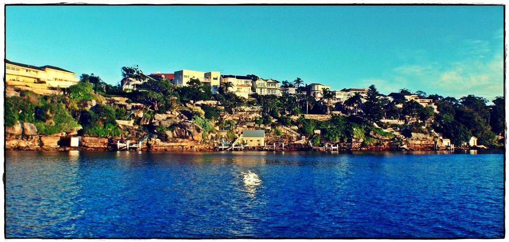 Bay Paddle 011