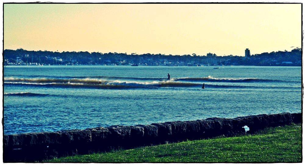 Bay Paddle 025