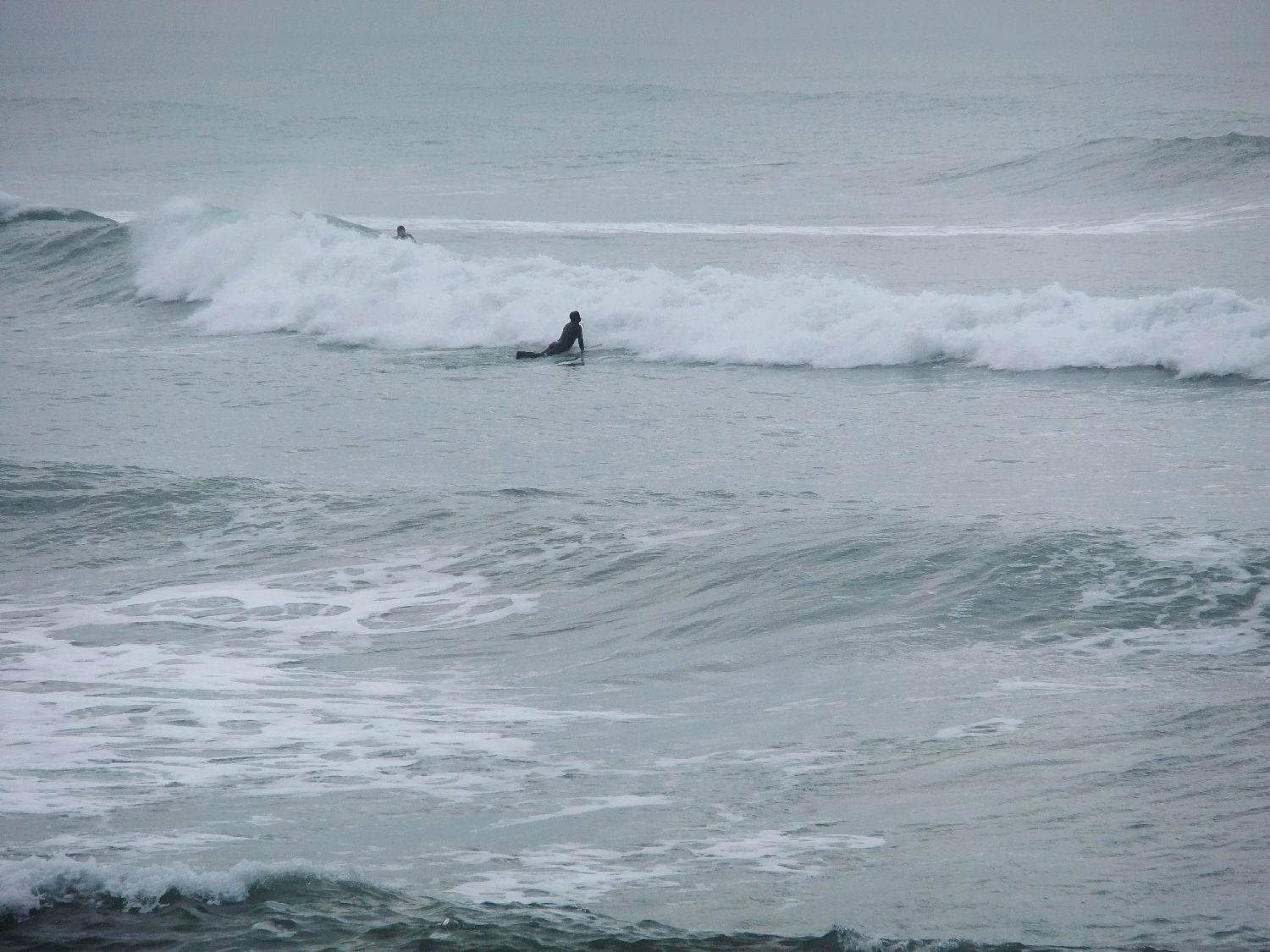 sumner 010
