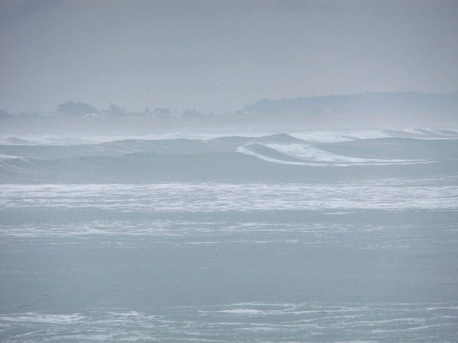 sumner 002