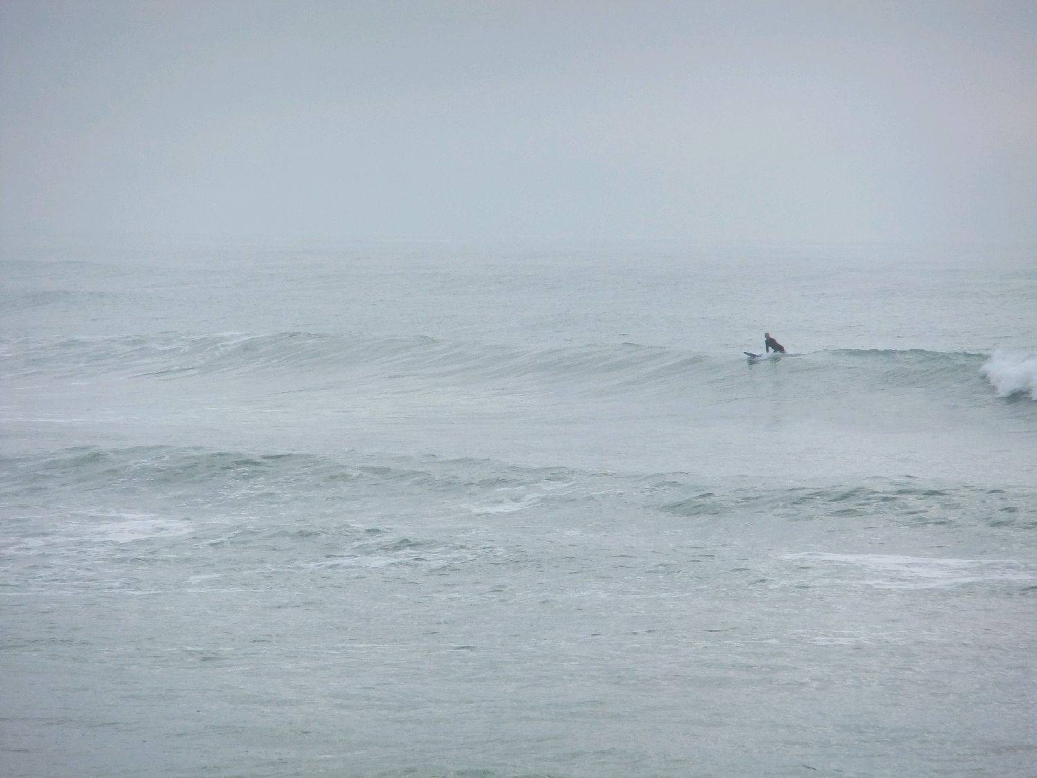 sumner 015